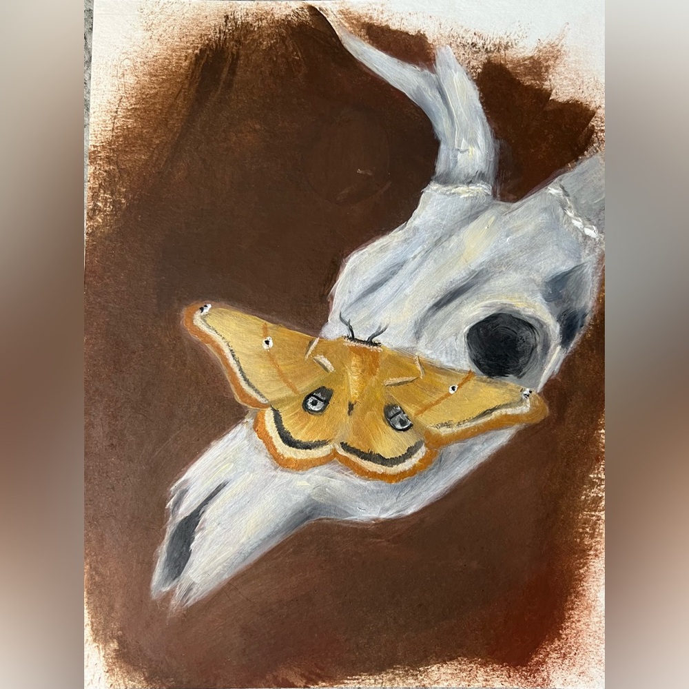 Golden Moth on Skull Art Print